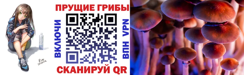 Псилоцибиновые грибы MAGIC MUSHROOMS  hydra вход  Мурманск 