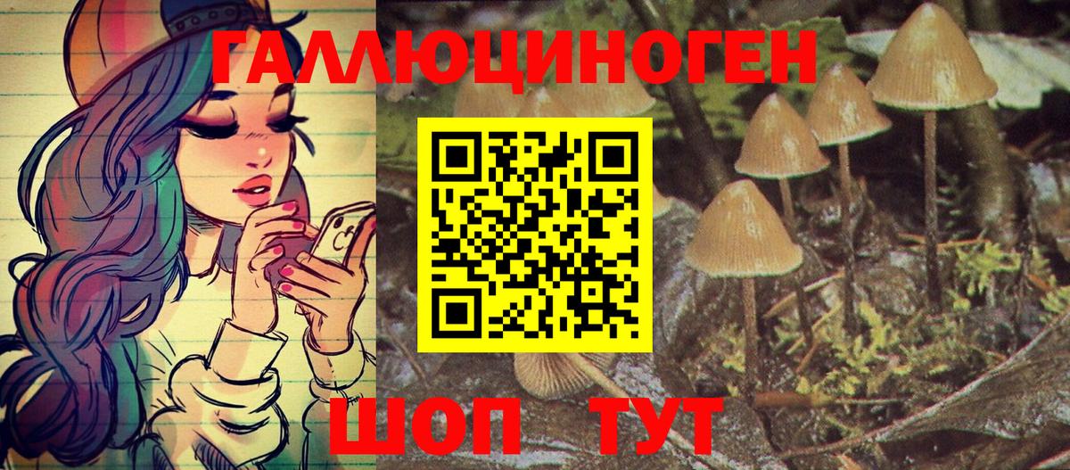Мурманск  Псилоцибиновые грибы Psilocybe  Вход с VPN  Псилоцибиновые грибы прущие грибы 